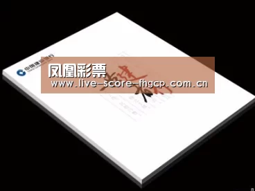 项目名称七