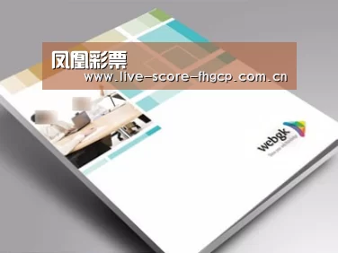 项目名称九
